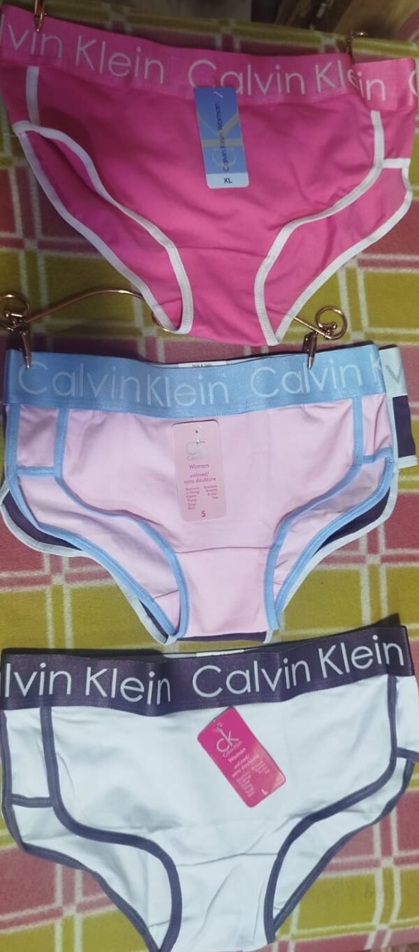Calzones Calvin Klein de bikini elásticos de algodón modernos para mujer